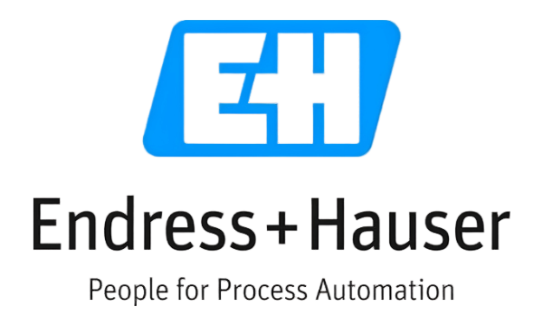 Endress + Hauser